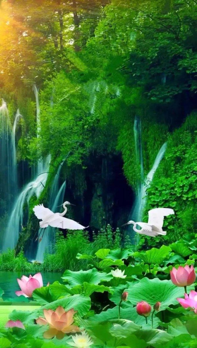 幽幽梦游记